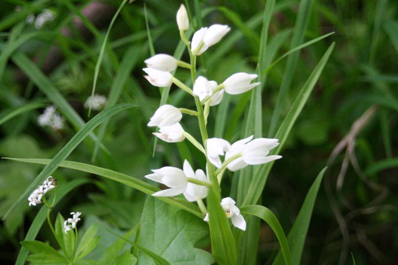 Killikus&reg; Fotographie